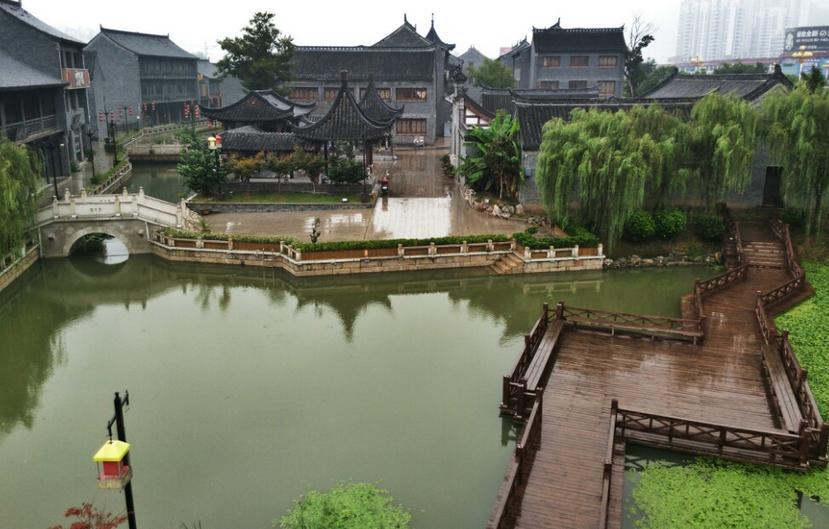 杜锋教练生涯危机? 杜锋下课!球迷声嘶力竭,CBA名帅被质疑